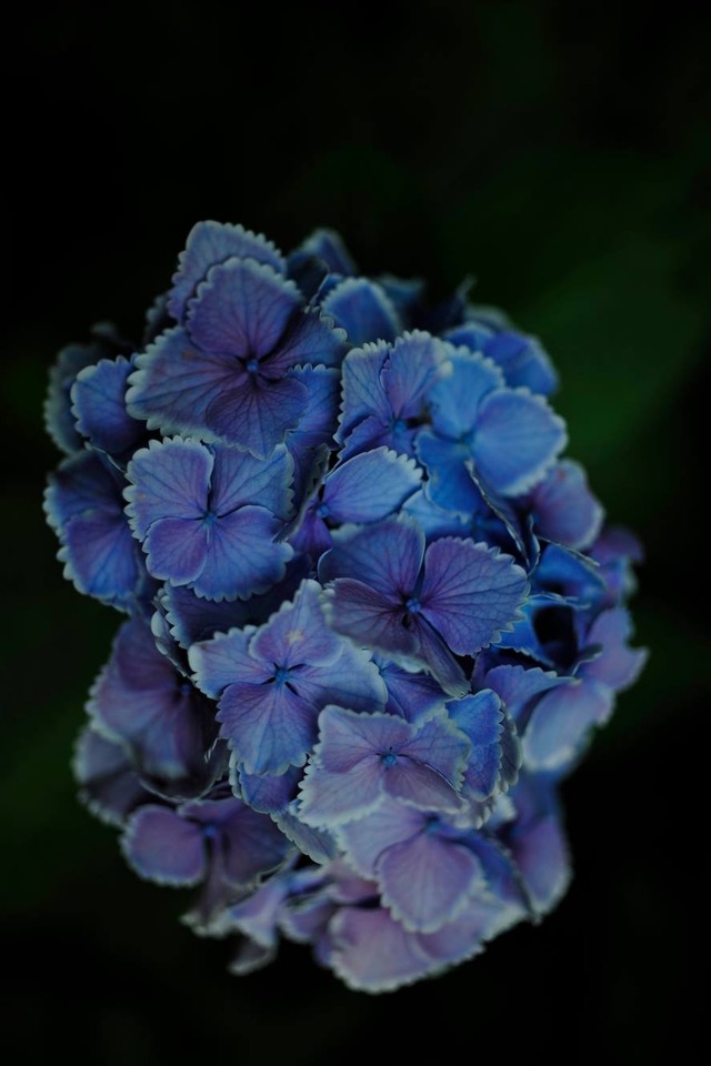 35425373_1980068188692956_696012472657641472_o