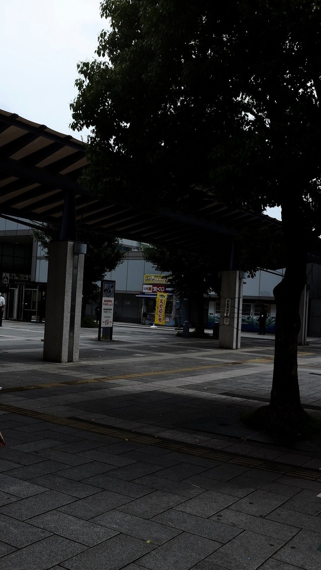 35884246_1988627494503692_189241249813757952_o