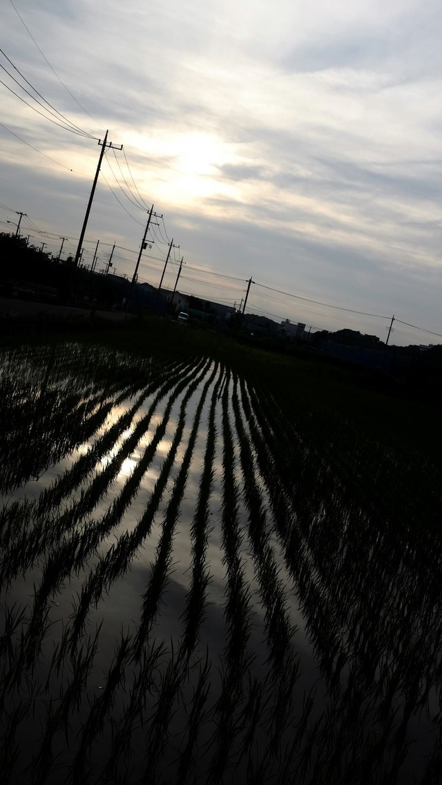 35923116_1988634607836314_3326470458722746368_o