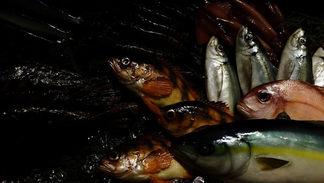 35954999_1990182324348209_1193558956153241600_o