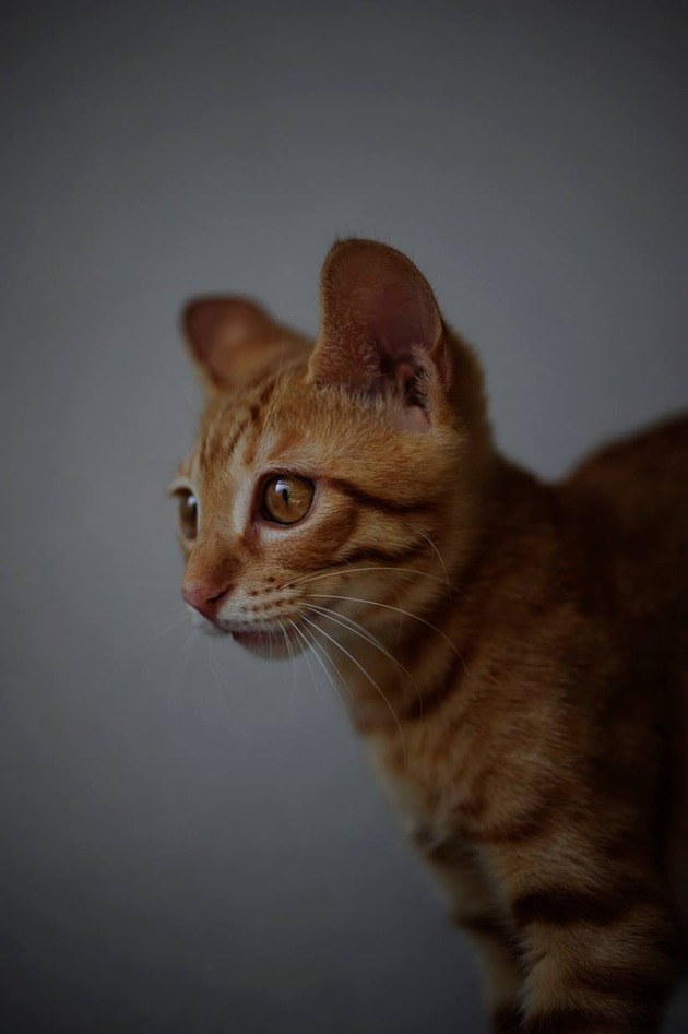 62520866_2553167574716345_5280203957291974656_n