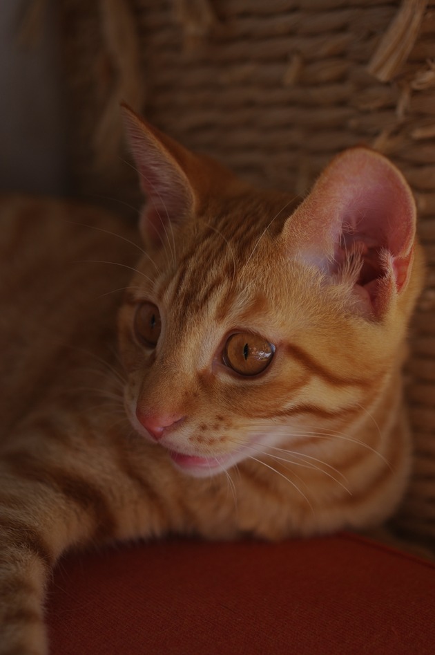 64108301_2553166951383074_1919126357200076800_n