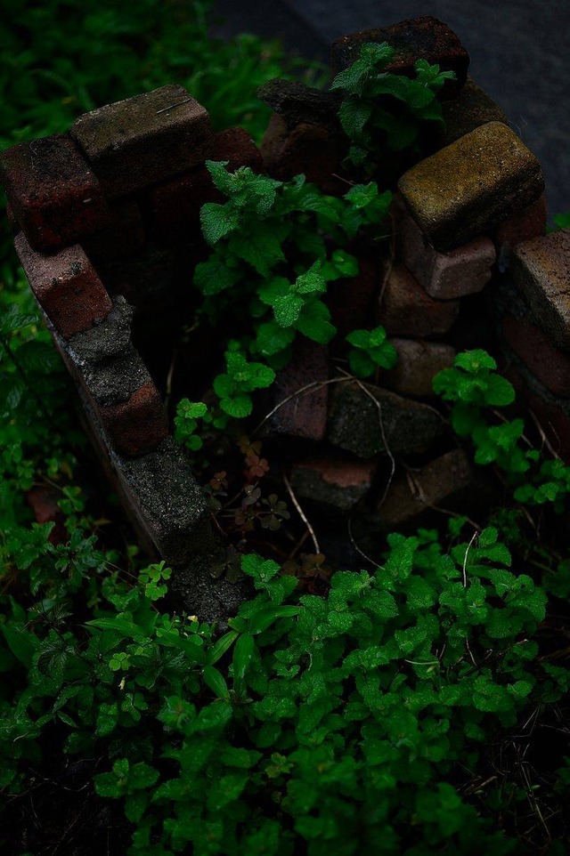 35842375_1989463141086794_7166448379881324544_o