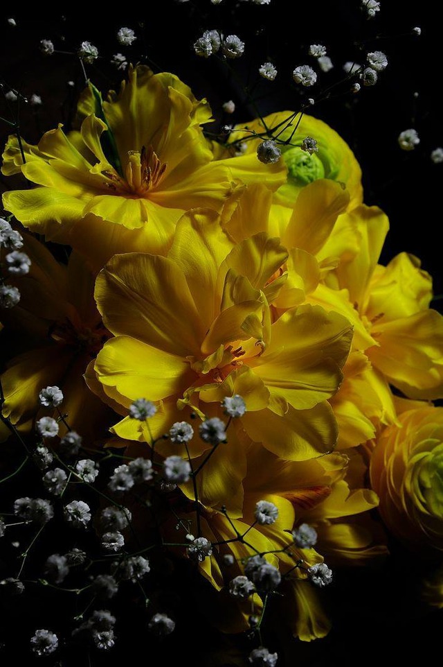 35740987_1989470281086080_1199011064948195328_o