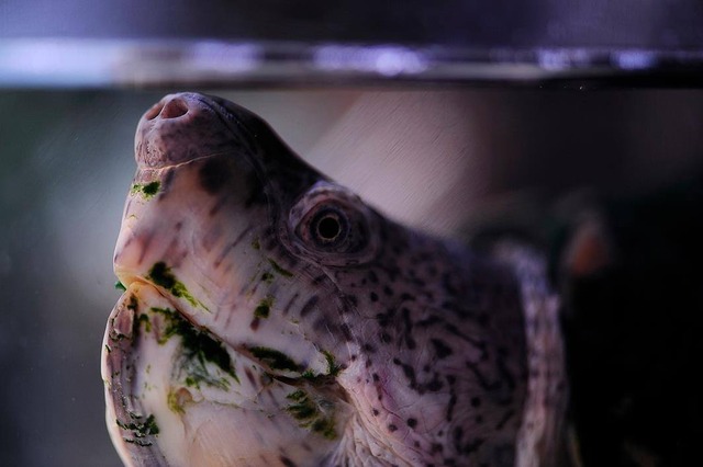 36063397_1989468884419553_4764765726667964416_o