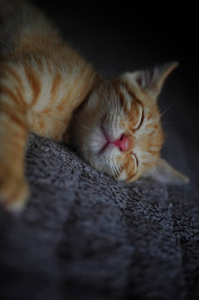 62648684_2553167558049680_7748164351088918528_o