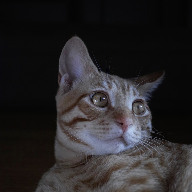 62425022_2553167651383004_7485581153101938688_n