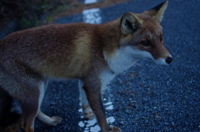 35773922_1987873354579106_7515180508632842240_o