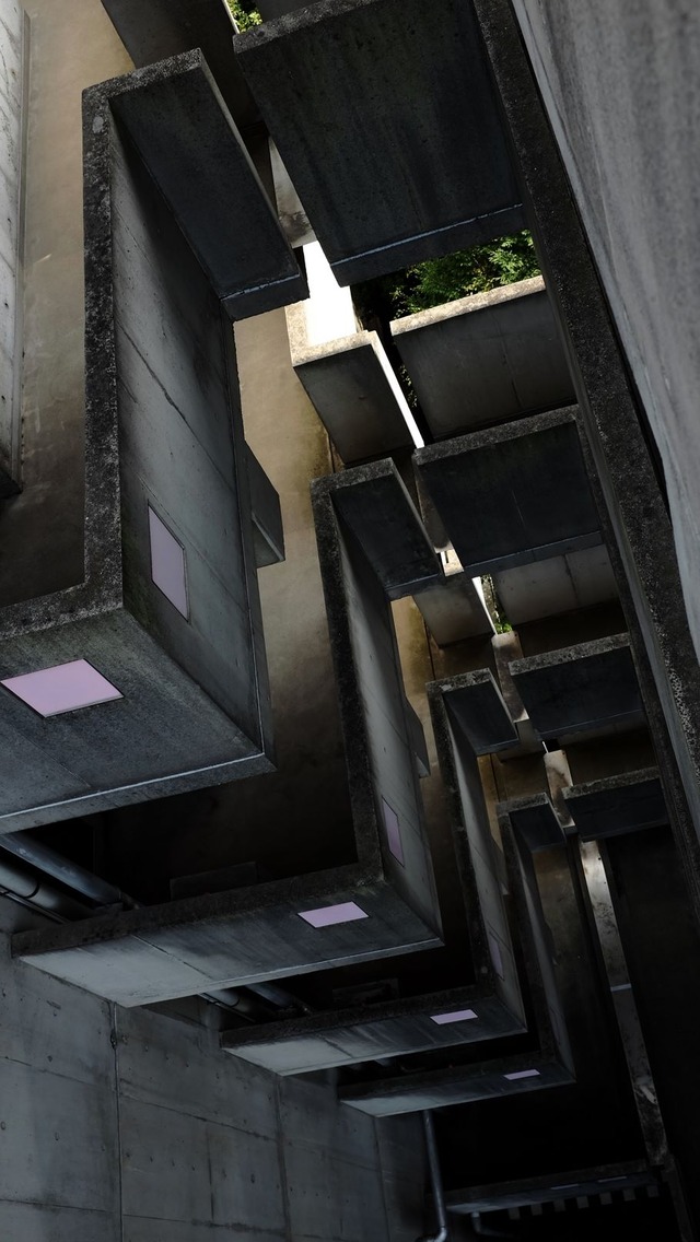 36040220_1990183511014757_9057687677637230592_o