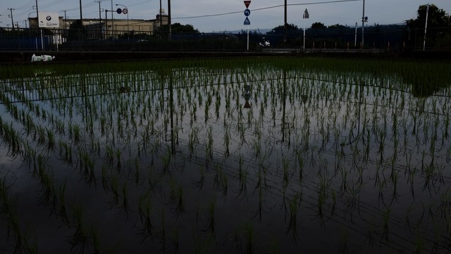 35763172_1988635884502853_591937812983447552_o