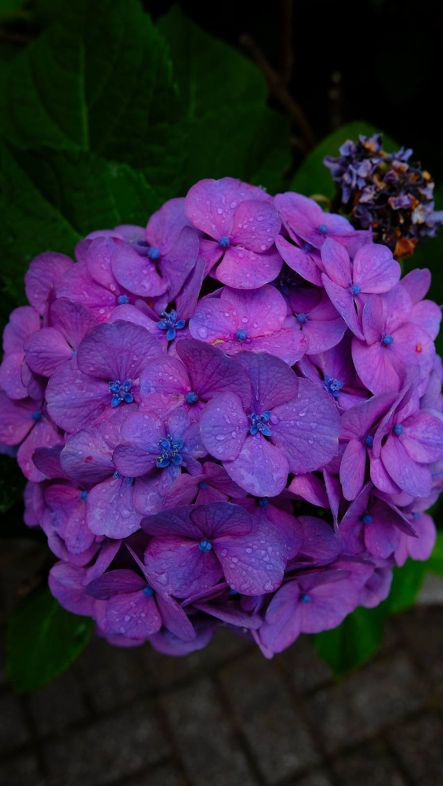 35629195_1983792108320564_1570261642808131584_o