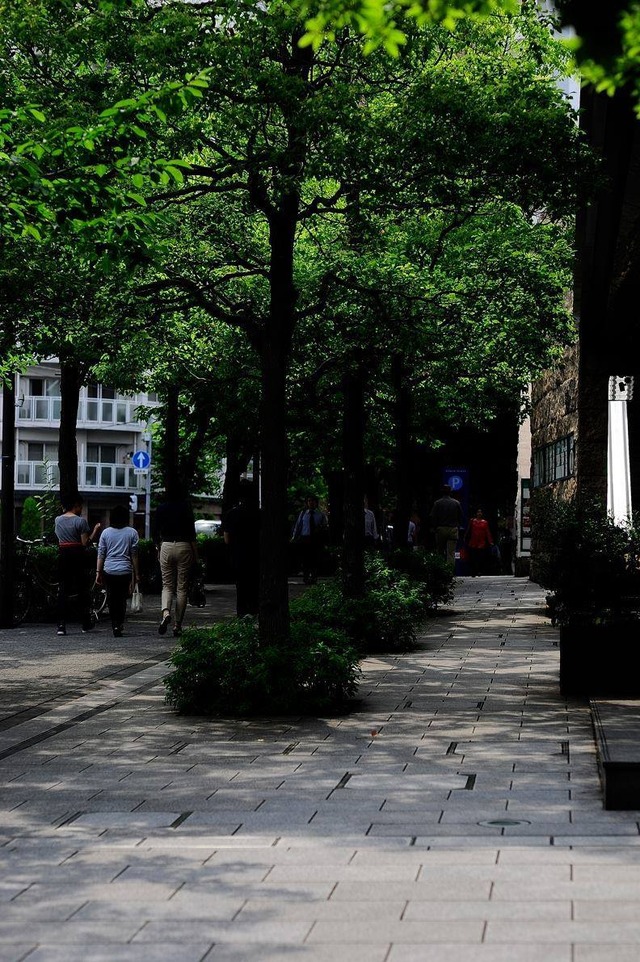 35493980_1987880027911772_7748733803622825984_o