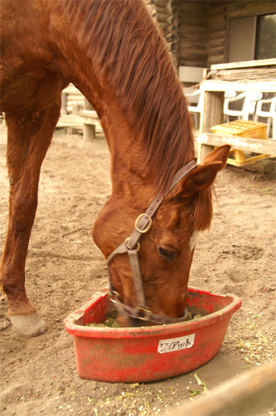 PICT0260.jpg