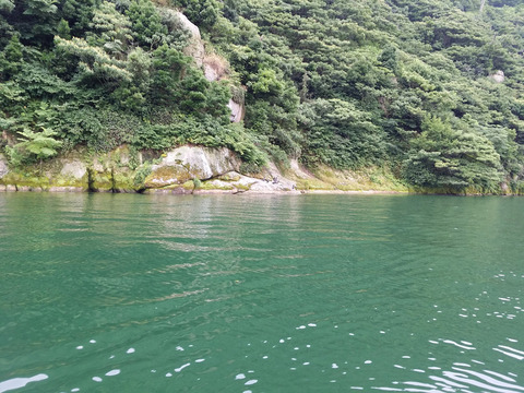 20170625_111650