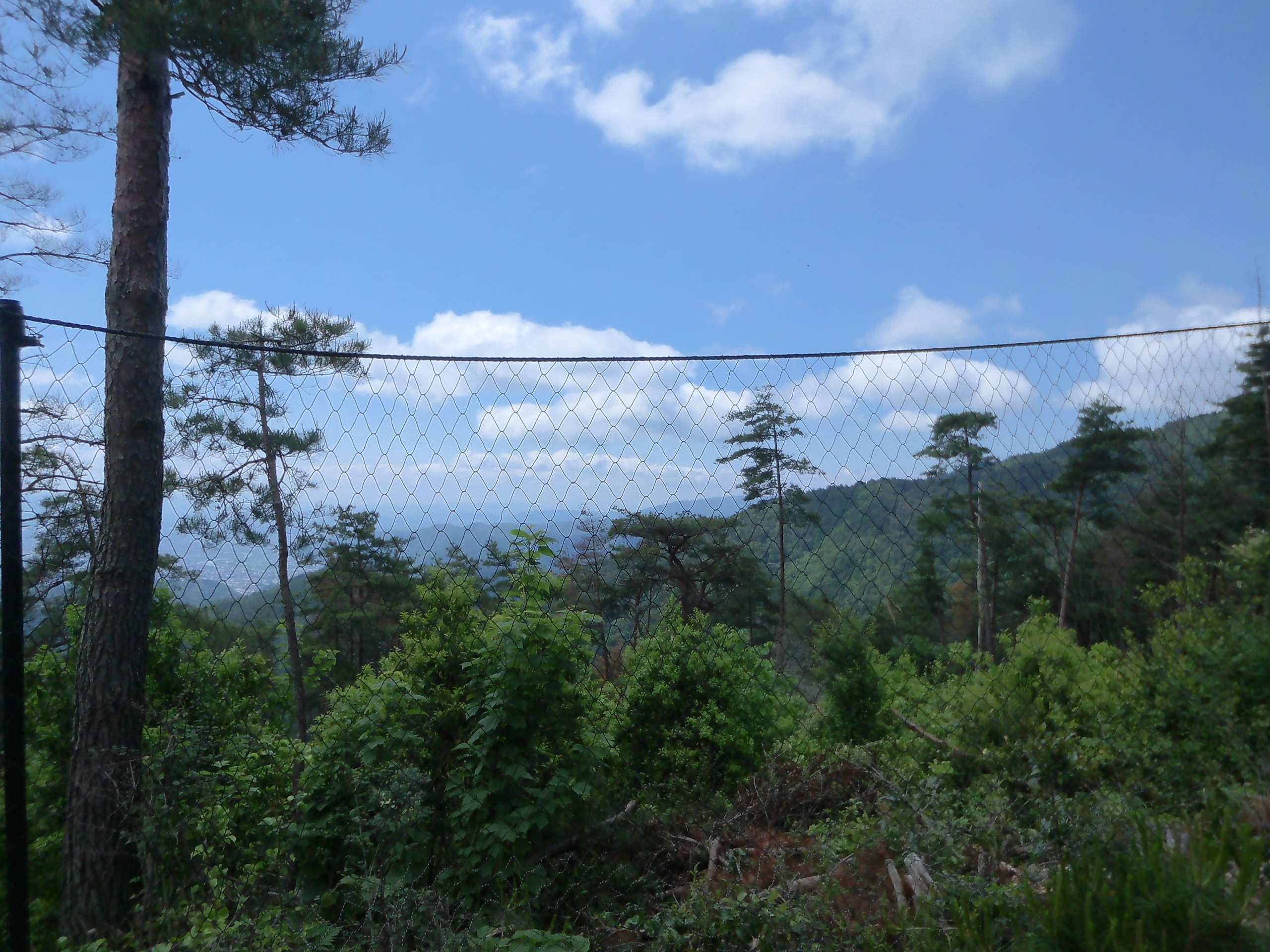 梅雨の中休み ウジウジ 茶呑峠 バイクじじぃのブログ