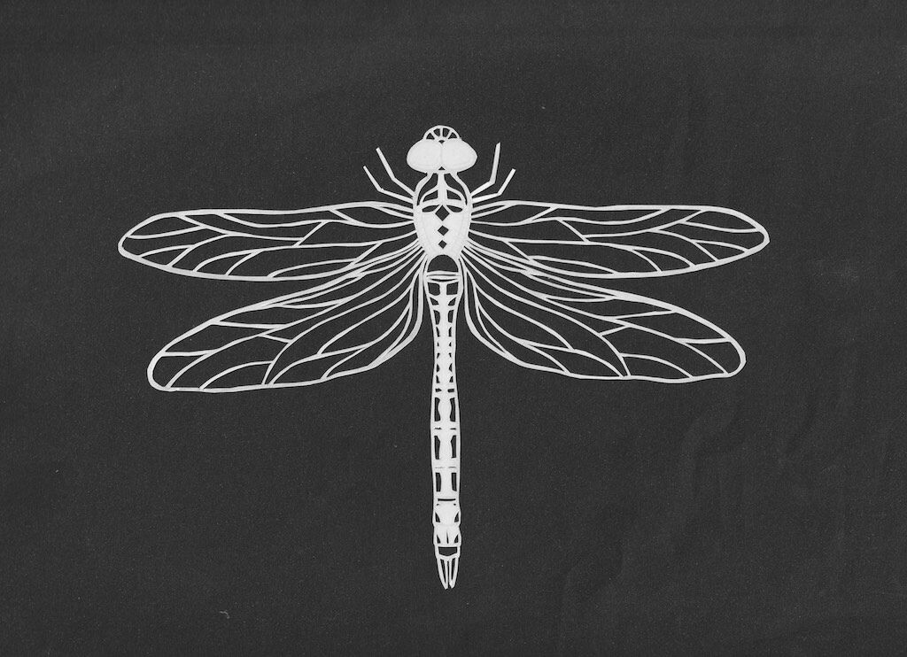 spoyajiのblog 今日の一枚は切り絵「トンボ」です。