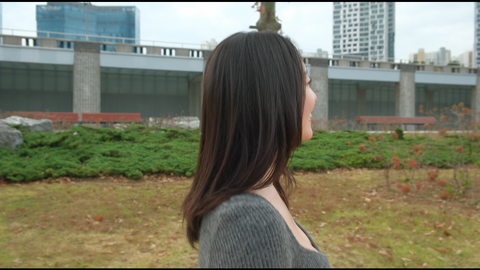 screenshot003