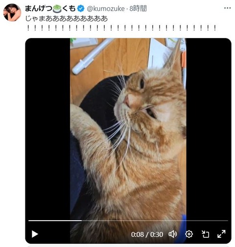 キャプチャw