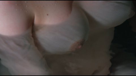 screenshot521