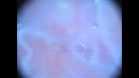2024_09_17_02_59_33