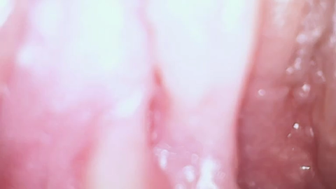2024_12_20_02_21_26