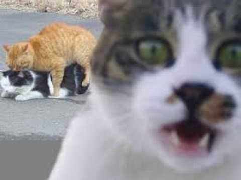 aaaaaaaaaaaaaaaaaaaaaaaaaaaaaaaaaaaaaaaaaaaaaaaaaaaa