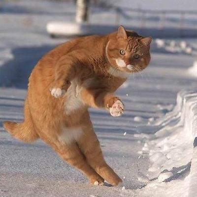 aaaaaaaaaaaaaaaaaaaaaaaaaaaaaaa