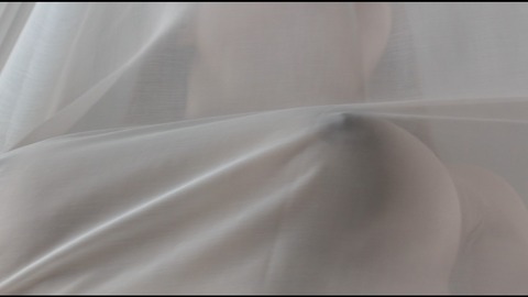 screenshot247