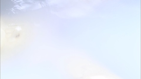 screenshot240
