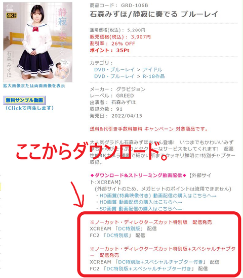キャプチャ3