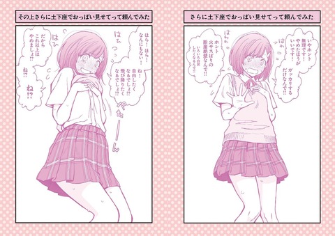 キャプチャ2