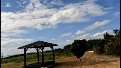 PDVD_369