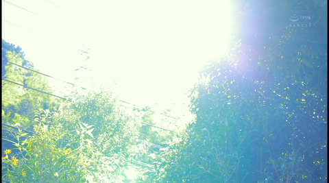 screenshot274