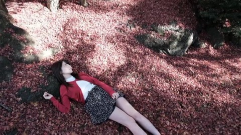 PDVD_009