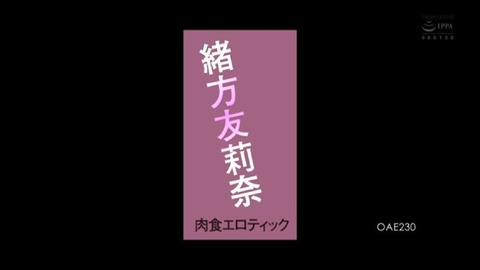 PDVD_002 - コピー