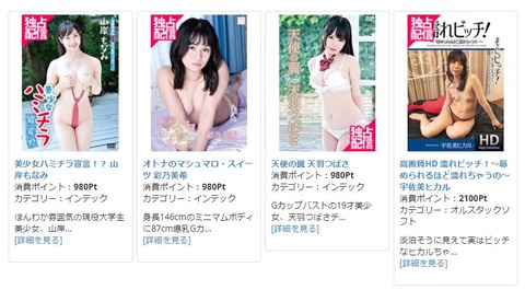 キャプチャ1