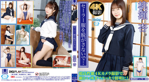 SF-016B_02