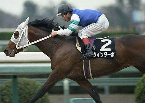 競馬のはなし 競馬コラム 韋駄天ツインターボｃ