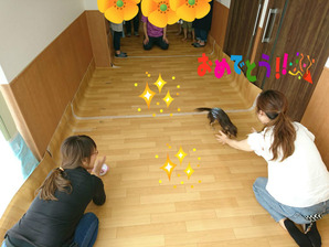 BlogPaint