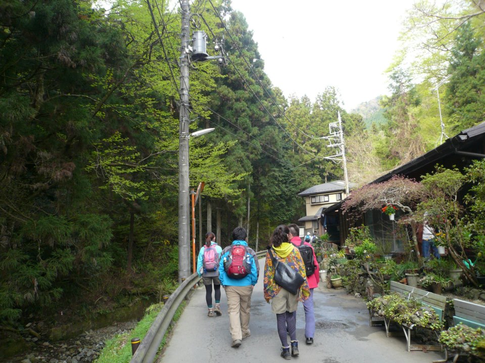 4月10日 早朝高尾山 : 法政大学 軽登山サークルSPRINGのブログ