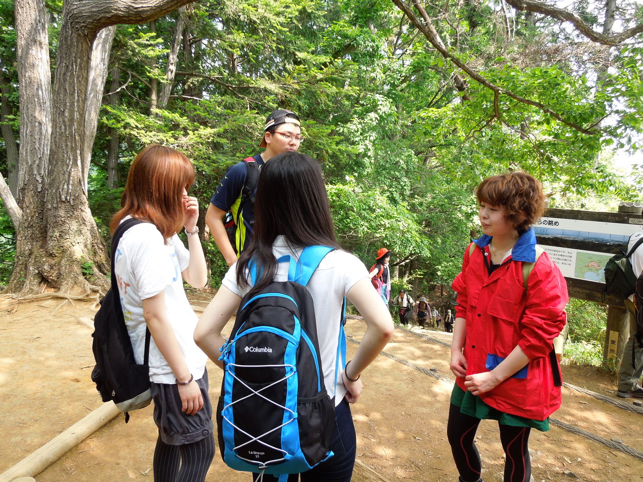 5 26 高尾山 法政大学 軽登山サークルspringのブログ
