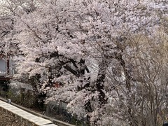 4F489ED7-3115-4F74-B911-92F30DFD1219