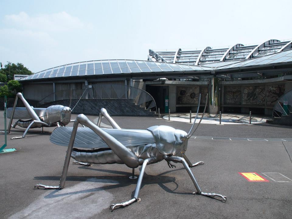 多摩動物公園の旅 Spring Snow