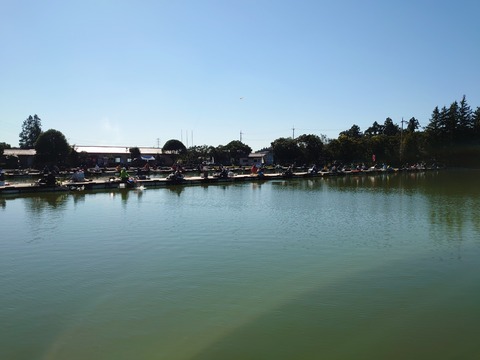 DSC_1177
