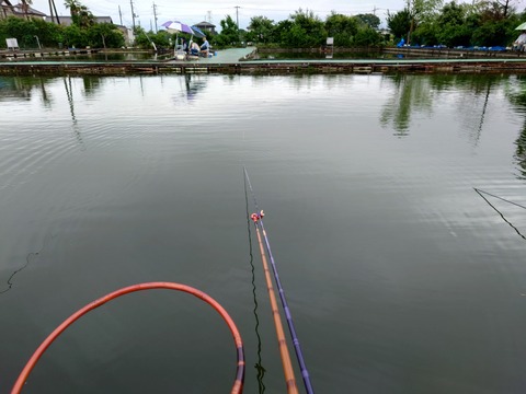 20240616_062542