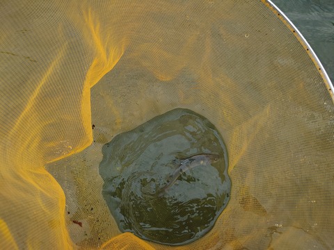 20260607_092616