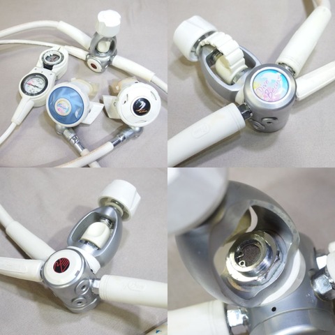 P8170026 (1)