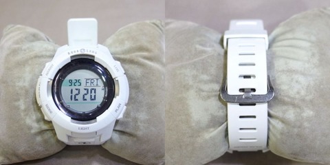 P9250043 (1)