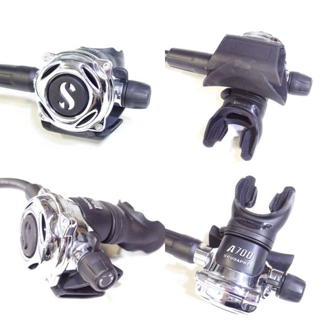 P9040007 (1)
