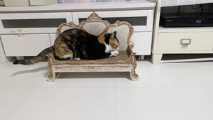 PXL_20250130_105406315